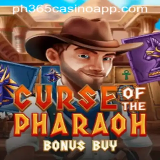 Unveiling the Enigma of Curse of the Pharaoh Bonus Buy at PH365 Casino App