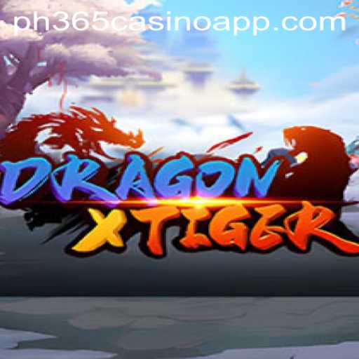 Exploring DragonXTiger on PH365 Casino App