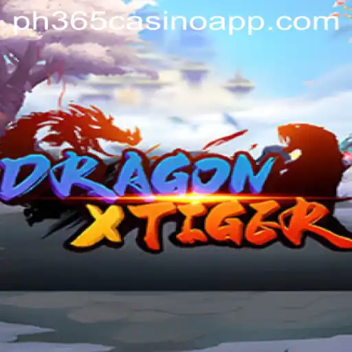 Exploring DragonXTiger on PH365 Casino App